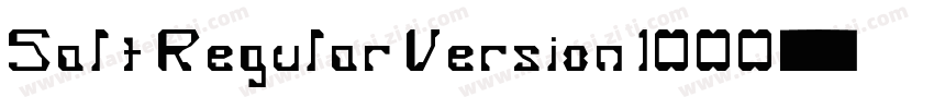 Salt Regular Version 1000字体转换